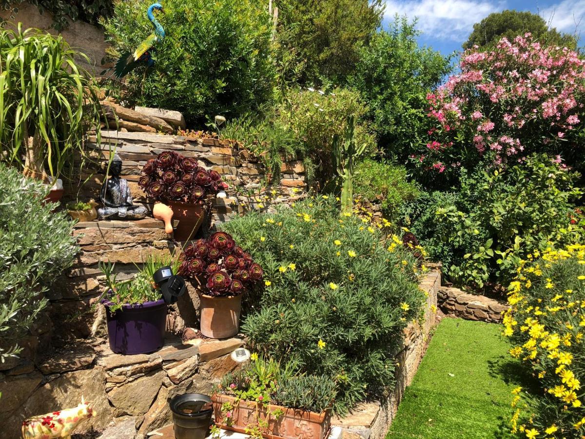 Logement Zen Sur La Colline Aux Mimosas Hyères Exteriör bild