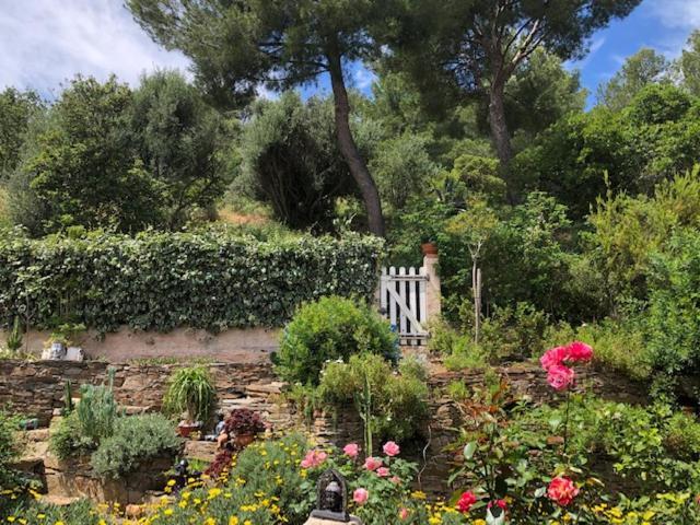 Logement Zen Sur La Colline Aux Mimosas Hyères Exteriör bild